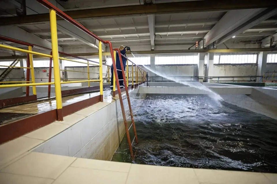 Такой грязной воды в Екатеринбурге не было 50 лет. Фото: канал Алексея Орлова