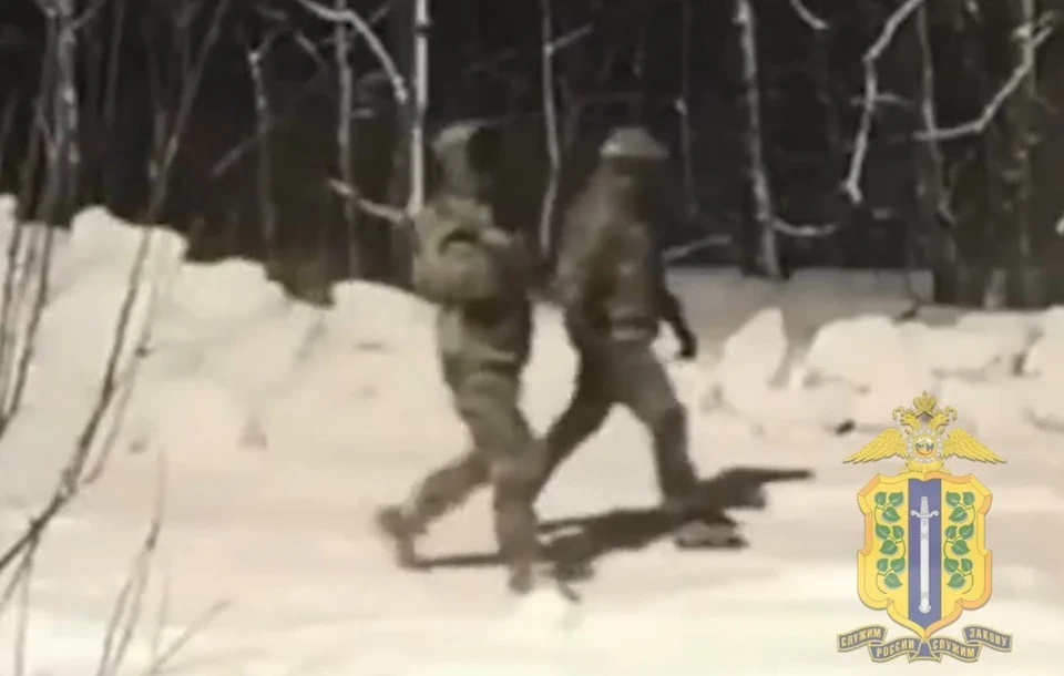 Для конспирации воры заранее переодевались в камуфляж, а лица прятали под масками. Скриншот видеозаписи УМВД России по Липецкой области.