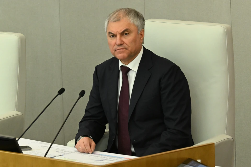 Председатель Государственной думы Вячеслав Володин