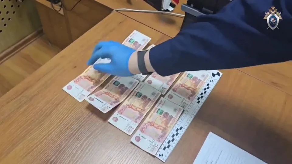 Всё дело в мигрантах.