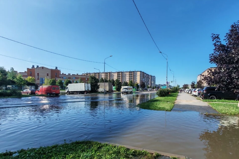 В Пушкинском районе выпало 59,79 мм осадков за сутки. Фото: vk.ru/activ_slav