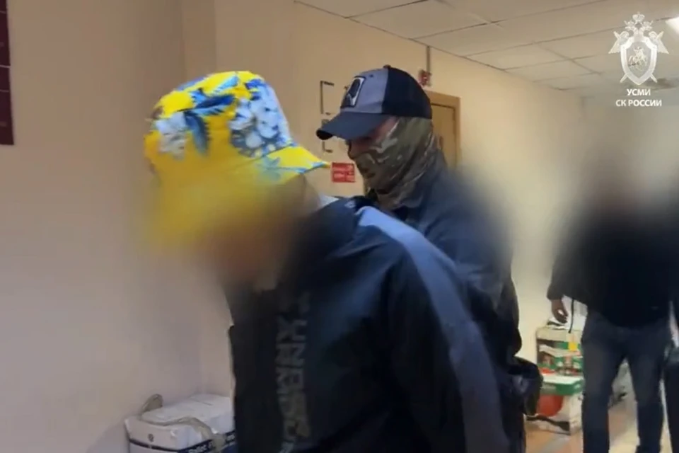 Из Вьетнама в Красноярск доставили двух мошенников, похитивших 12 млн у вуза. Фото: СК.