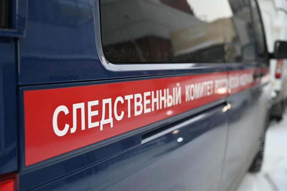 Ранее Александр Бастрыкин уже брал эту ситуацию под контроль