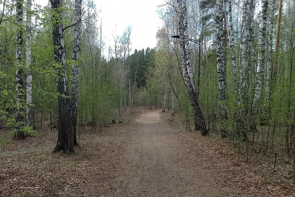 Погода на Ямале на 28 августа
