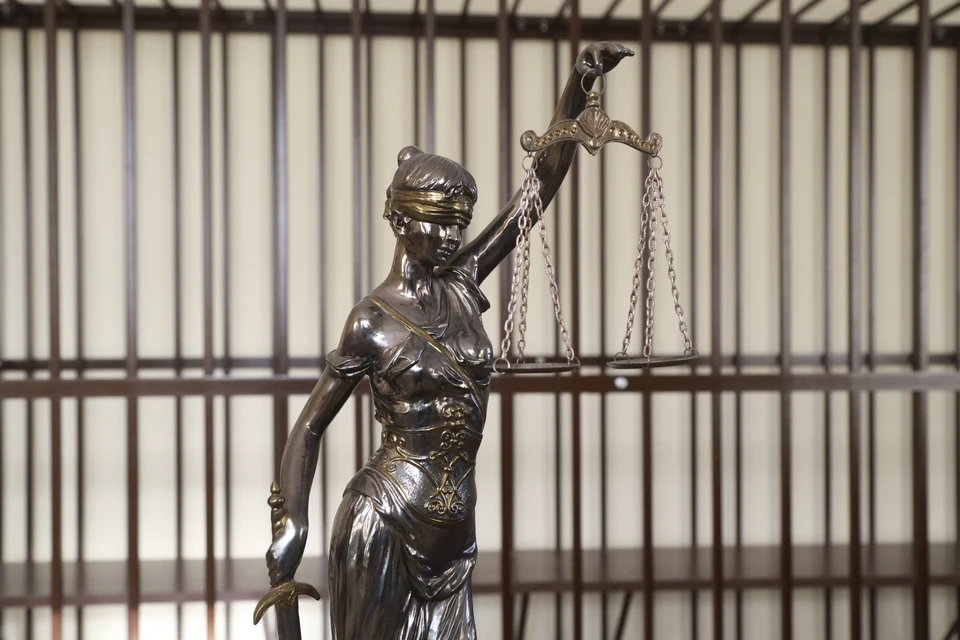 Приговором суда виновного на 1 год 2 месяца отправили в исправительное учреждение.