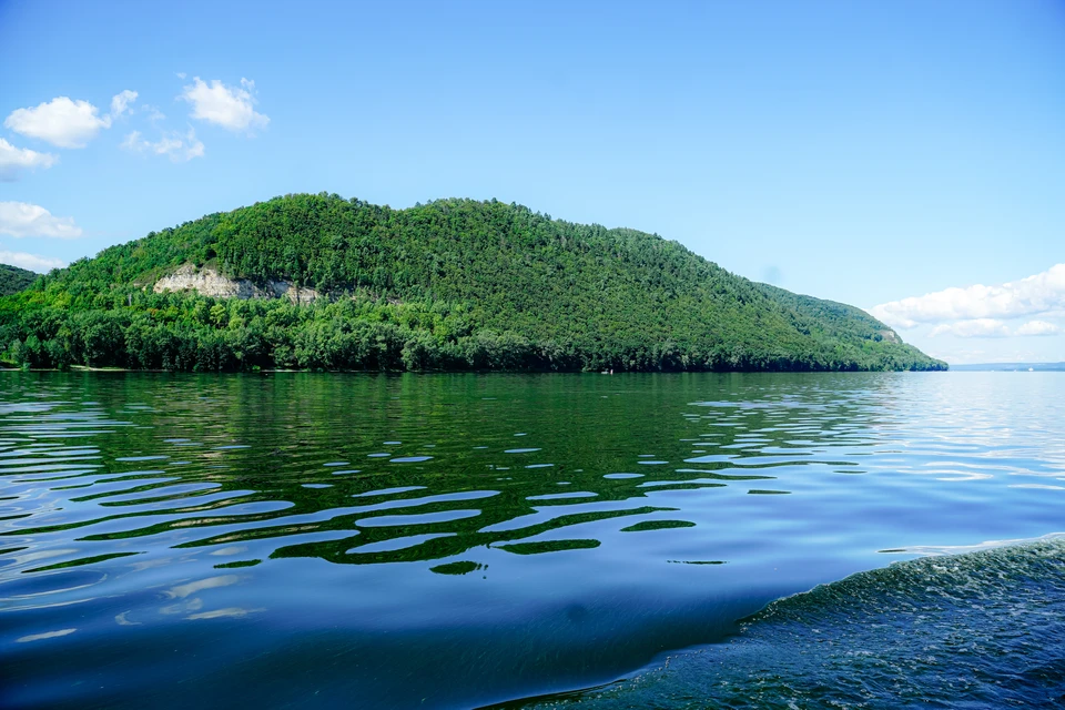 Ученый рассказала, как личинки паразитов в воде атакуют человека