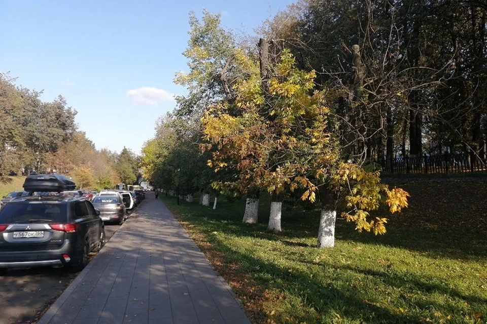 Ночью и утром 29 августа в Ярославле может похолодать до -1 градуса.