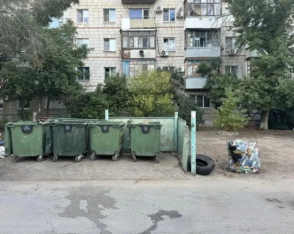 Фото: прокуратура ВО.