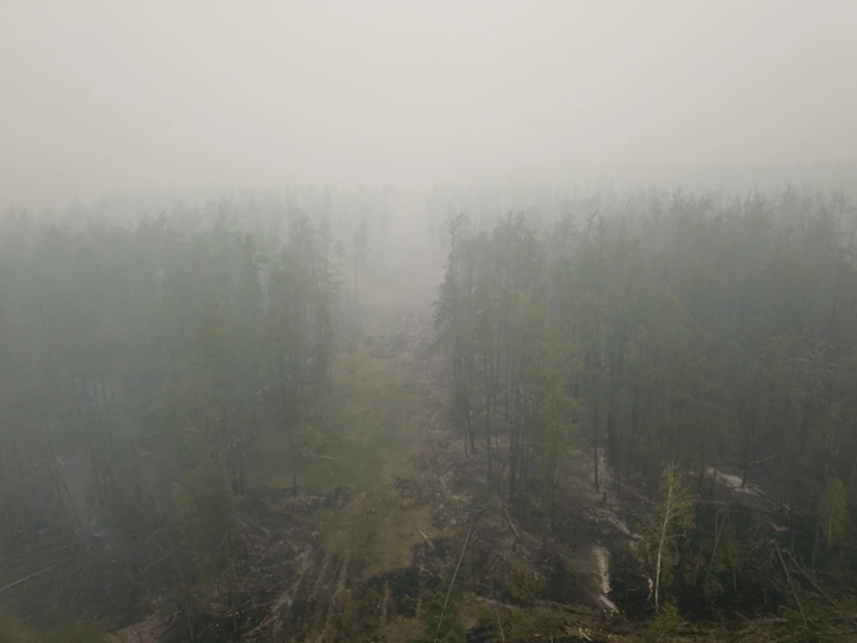 В Якутии продолжают тушить лесные пожары, локализовано 503 гектара