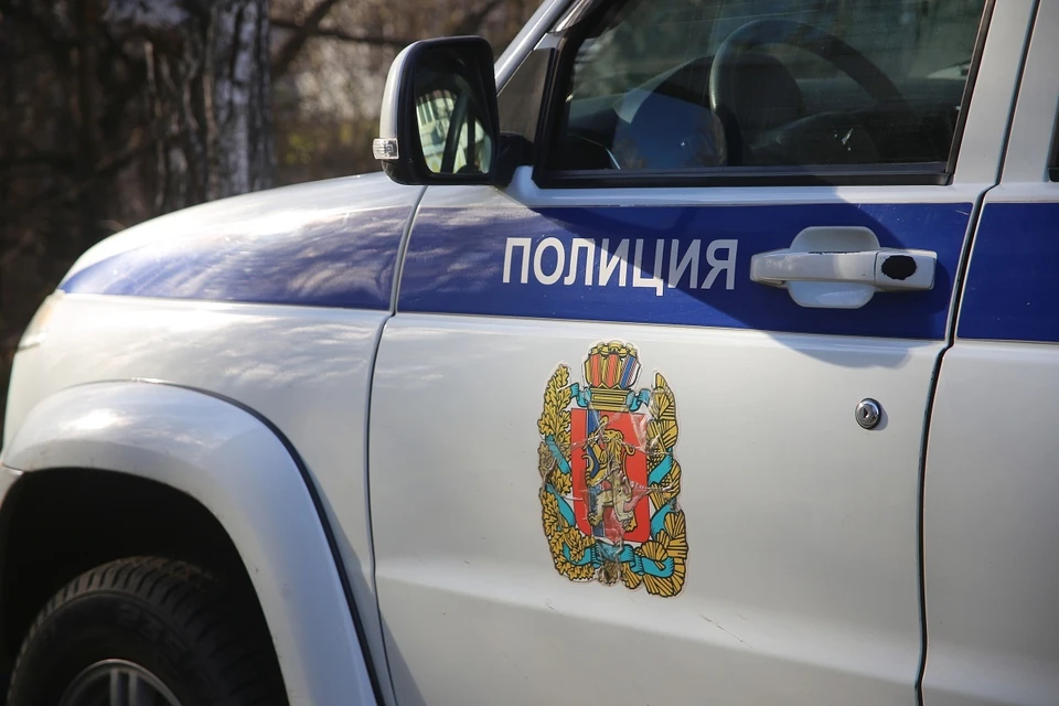В Емельяново перед судом предстанет подозреваемый в краже золотого кольца