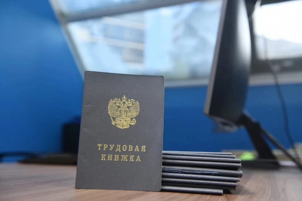 Уровень занятости среди жителей региона от 15 лет составил 58,5%.