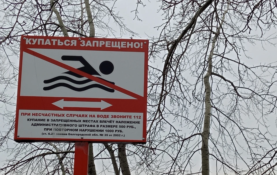 В селе Становое Белгородской области утонул мужчина