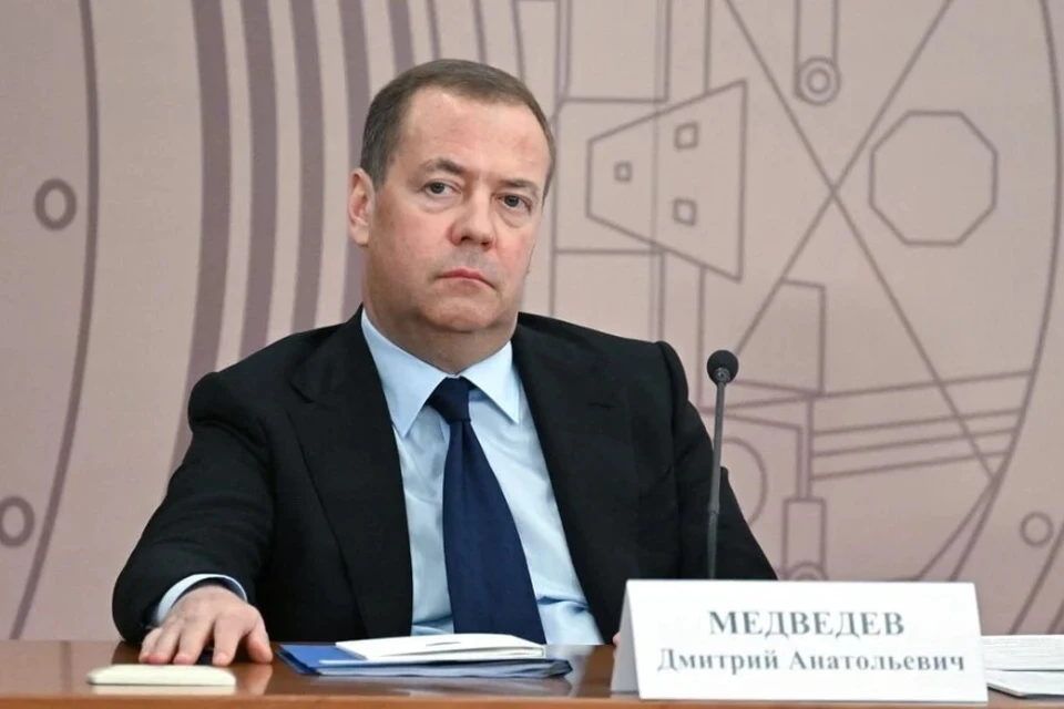 Медведев предупредил Германию о последствиях антироссийской политики