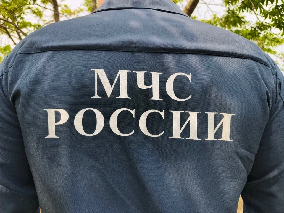 Фото: Маргарита Сурина