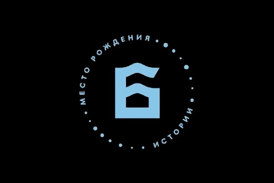 В основе логотипа лежит современное переосмысление исторического герба города. Фото: max.ru/DIF