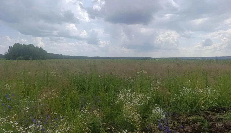 Фото: Управление Россельхознадзора по Орловской и Курской областям