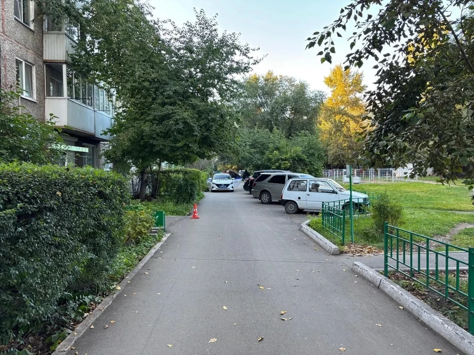 Источник: max.ru/mvd19. Правообладатель в рамках служебного произведения: УГИБДД по Хакасии