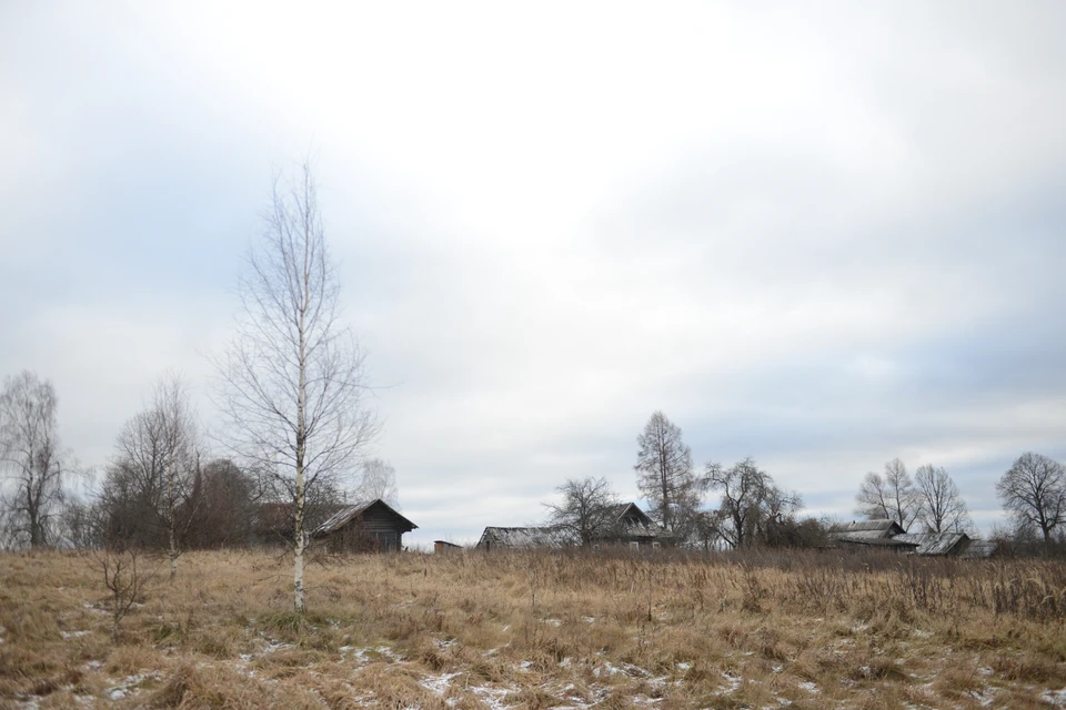Количество населенных пунктов Нижегородской области сократилось вдвое