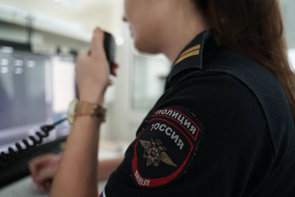 Злоумышленнице грозят штраф, исправительные работы или арест до трех месяцев.
