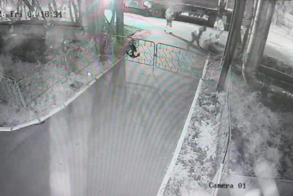 Нападавшие избили новосибирца лопатами. Фото: скрин с видео/предоставлено читателем КП-Новосибирск.