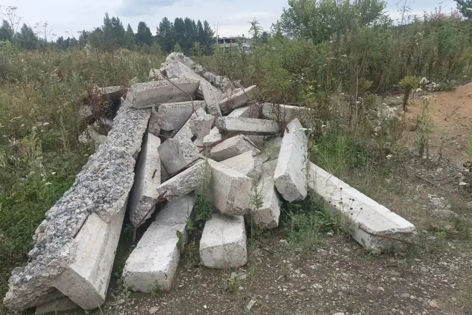 В Зеленогорске подрядчика благоустройства обвиняют в мошенничестве. Фото: МВД