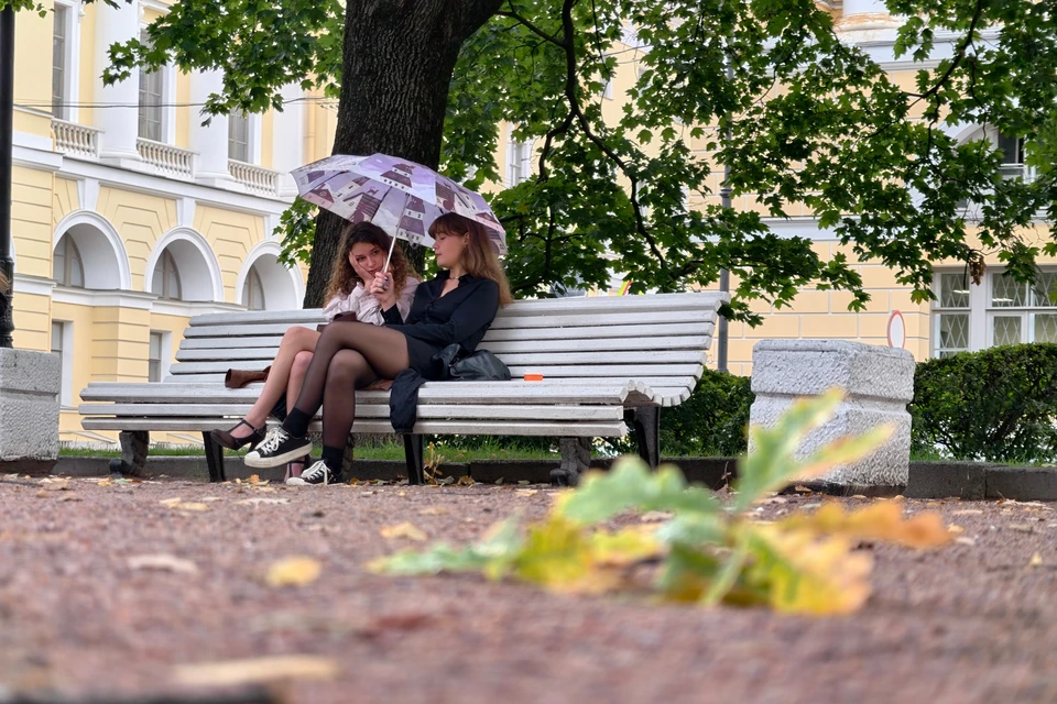 В отдельных западных и южных районах пройдет небольшой дождь