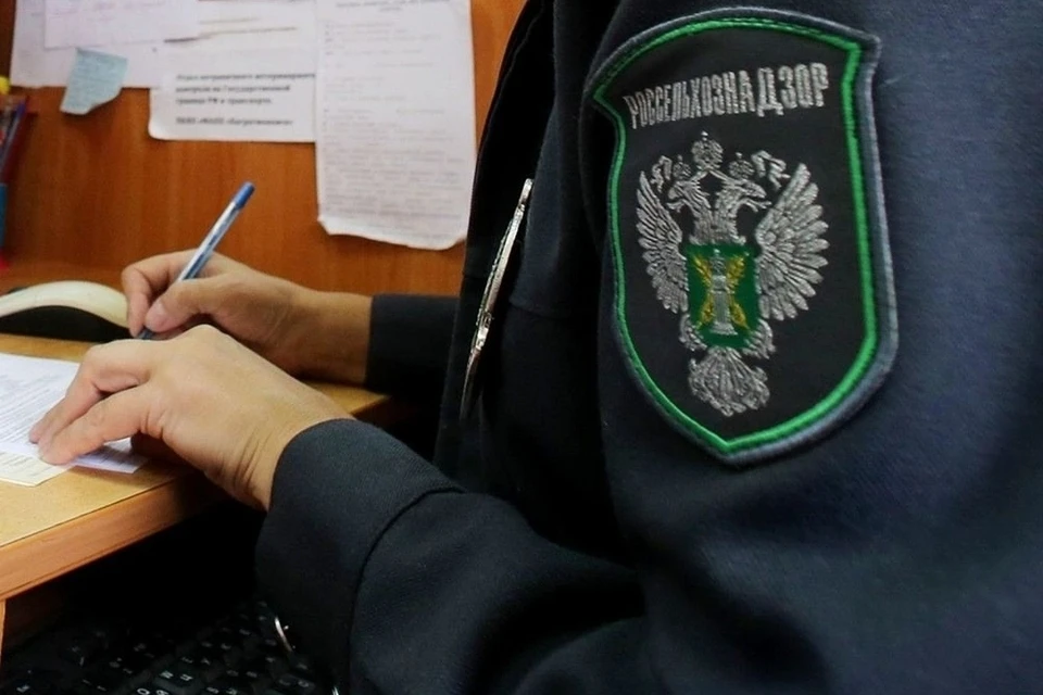 Заброшенные участки пашни площадью 56,2 и 85,9 гектара расположены возле деревень Русский городок и Луначарское. Фото: Россельхознадзор по Тверской и Ярославской областям.