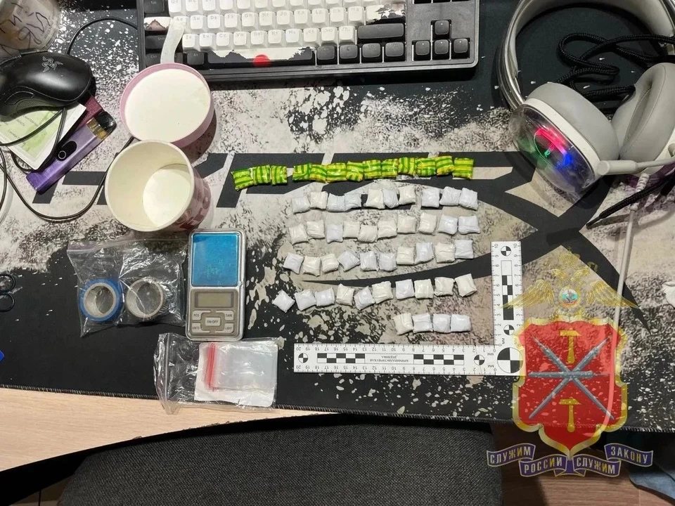 Пресекли попытку сбыта крупной партии наркотиков в Новомосковске Тульской области