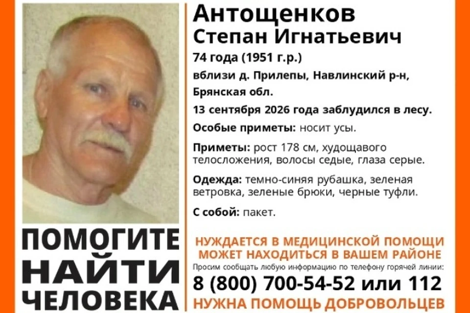 Фото: поисковый отряд "Лиза Алерт", ВКонтакте.