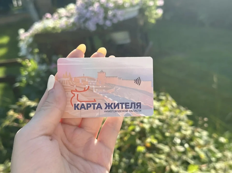 Нижегородцы смогут оформить льготную «Карту жителя» не выходя из дома. Фото: Минцифры Нижегородской области