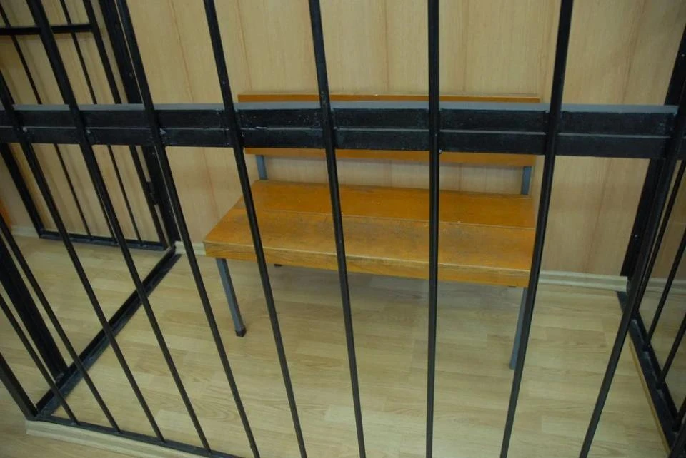 Подозреваемого заключили под стражу до 10 ноября 2026 года.