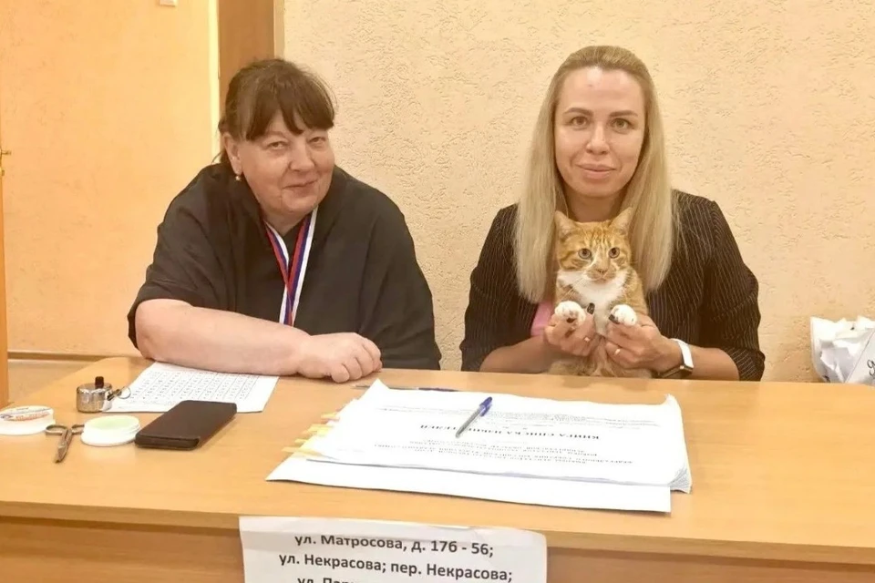 Кот стал наблюдателем на выборах в Ленобласти. Фото: пресс-служба правительства ЛО.