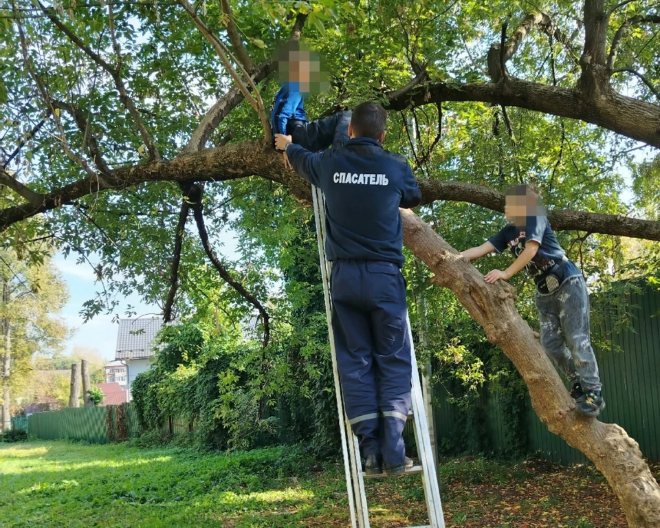 Фото со страницы поисково-спасательного отряда города Владимира в ВК.