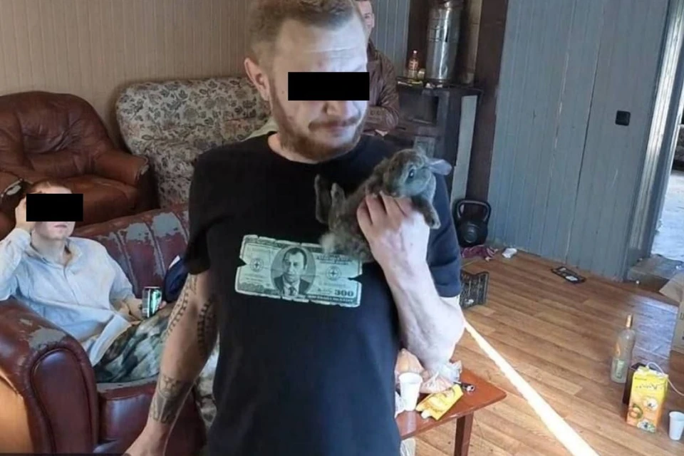 Блогеров проверят после обвинения в убийстве кролика. Фото: кадр из видео.