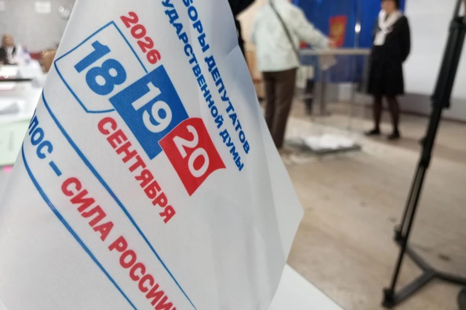 В выборах в Новосибирской области приняли участие 952 334 избирателя. Фото: zsnso.ru