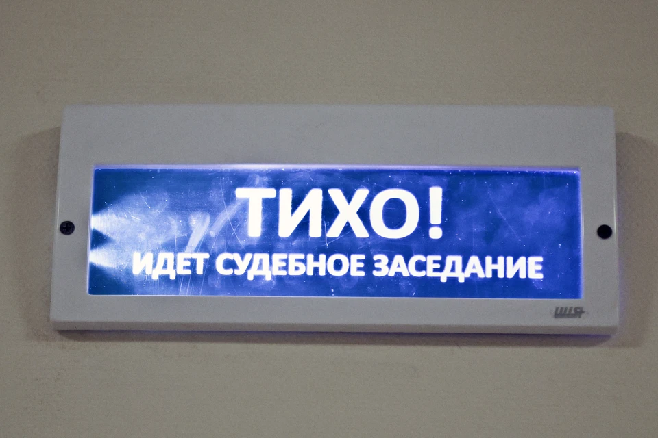Дело поступило в Мясниковский районный суд Ростовской области.