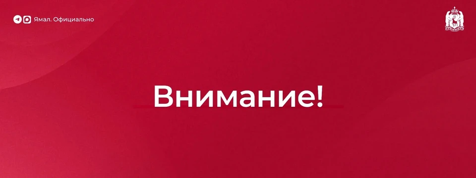 Фото: мах-канал «ЯМАЛ. Официально»