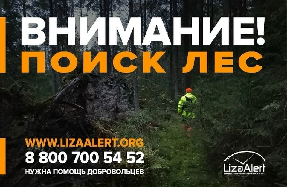 Фото: ДПСО "ЛизаАлерт" Костромской области