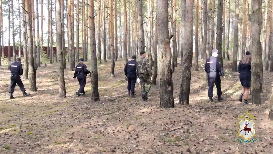 Более 4000 пропавших человек нашли в Нижегородской области по горячим следам.