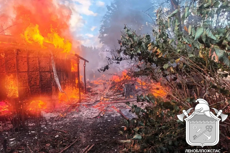 Пожар во Всеволожском районе. Фото: «Леноблпожспас»
