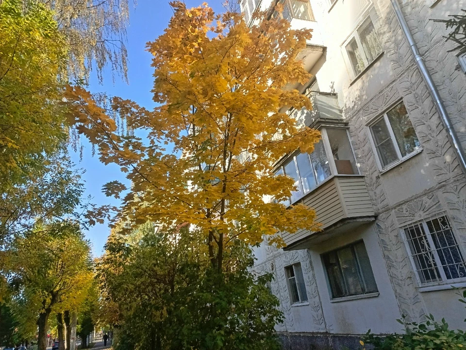 Фото: фотоархив портала "КП в Костроме"