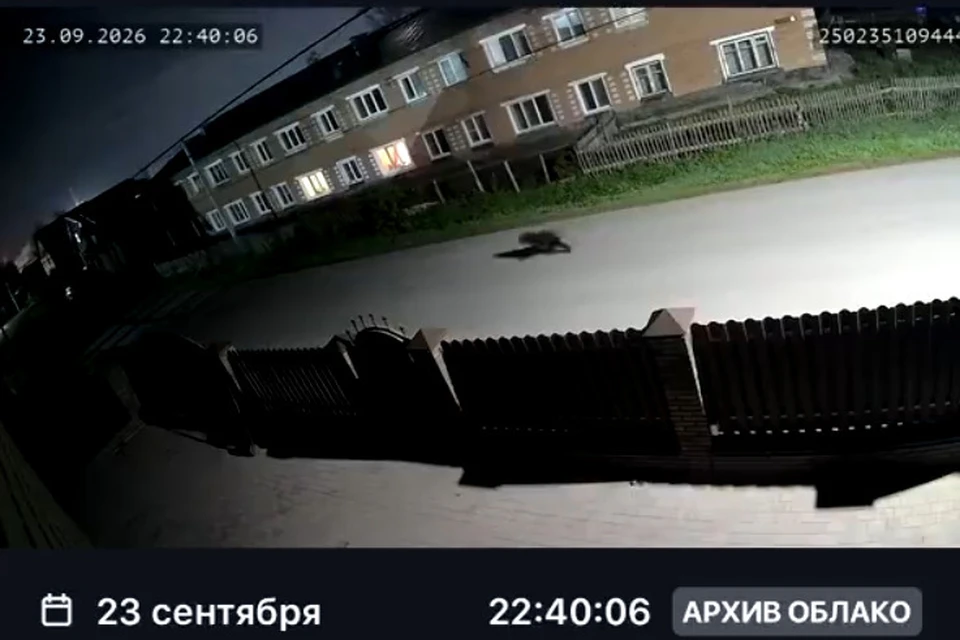 Информация требует подтверждения. Скриншот видео сообщества "Инцидент Барнаул"