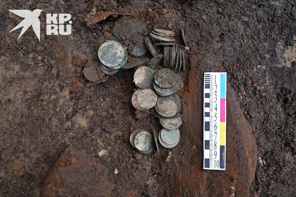 102 монеты пролежали в земле более ста лет. Фото предоставлено Александром Барковым