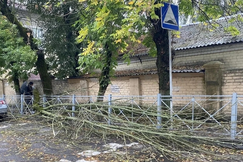 Фото: пресс-служба Брянской городской администрации.