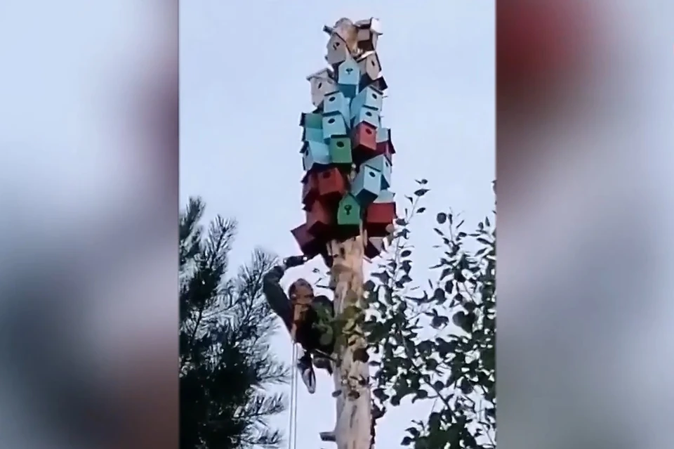Фото: кадр из видео ugra-tv.ru