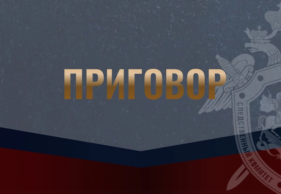 Фото: пресс-служба СУ СК России по Костромской области