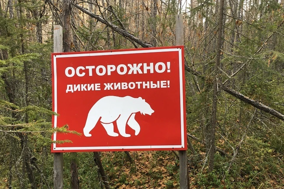 Следователи проводят проверку после гибели мужчины на Камчатке
