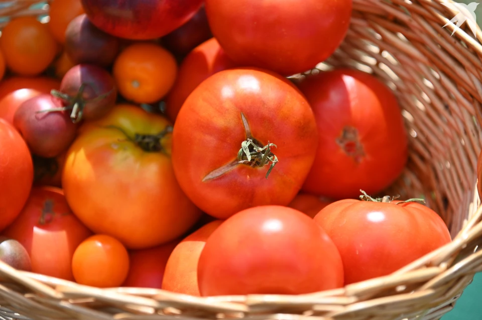 Зараженные овощи хранились вместе с другой продукцией.