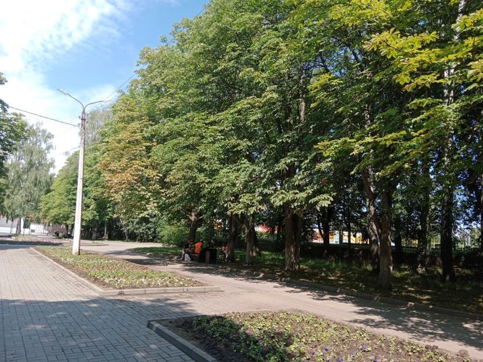Ветер по прогнозу будет северный