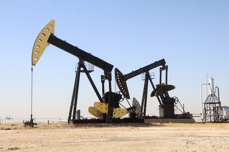 ОПЕК+ сохранила квоты на добычу нефти в ноябре. Фото: Monsef Memari/XinHua/Global Look Press